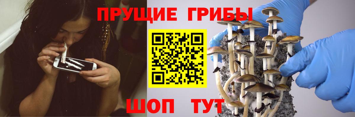 Урай  Псилоцибиновые грибы GOLDEN TEACHER  Псилоцибиновые грибы мухоморы  Вход с VPN 