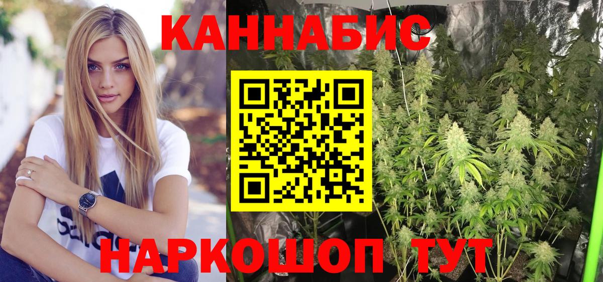 Бошки Шишки конопля Урай